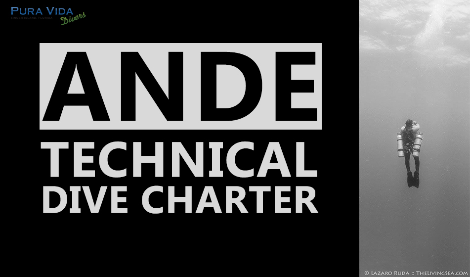 Ande Tech Charter Pura Vida Divers Palm Beaches Technical Dive Center